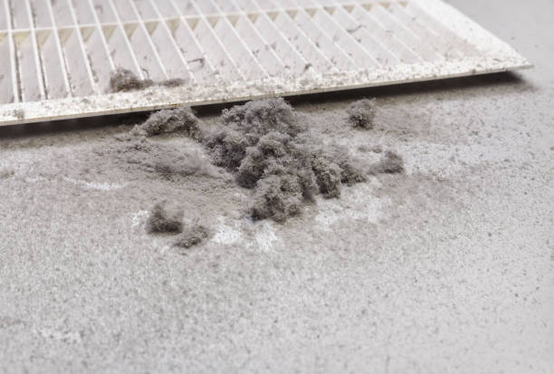 Best Commercial Air Duct Cleaning  in Cloverleaf, TX
