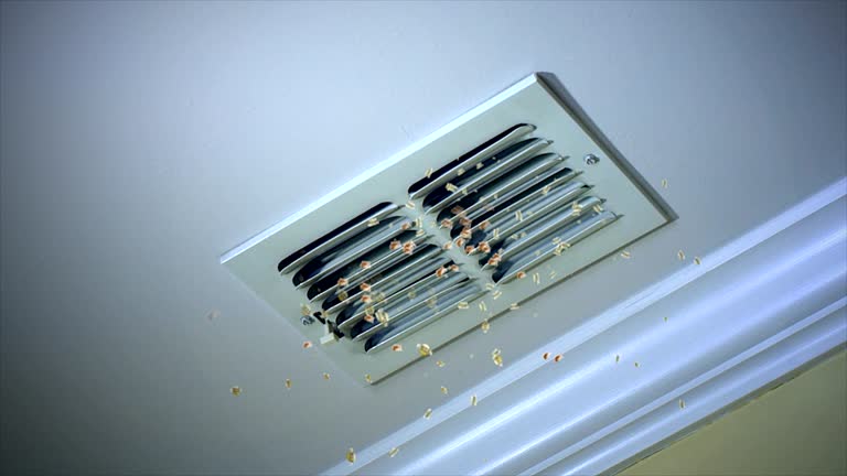 Best Ventilation Cleaning Services  in Cloverleaf, TX
