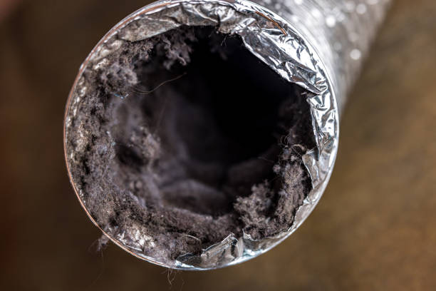 Best Affordable Duct Cleaning Services  in Cloverleaf, TX
